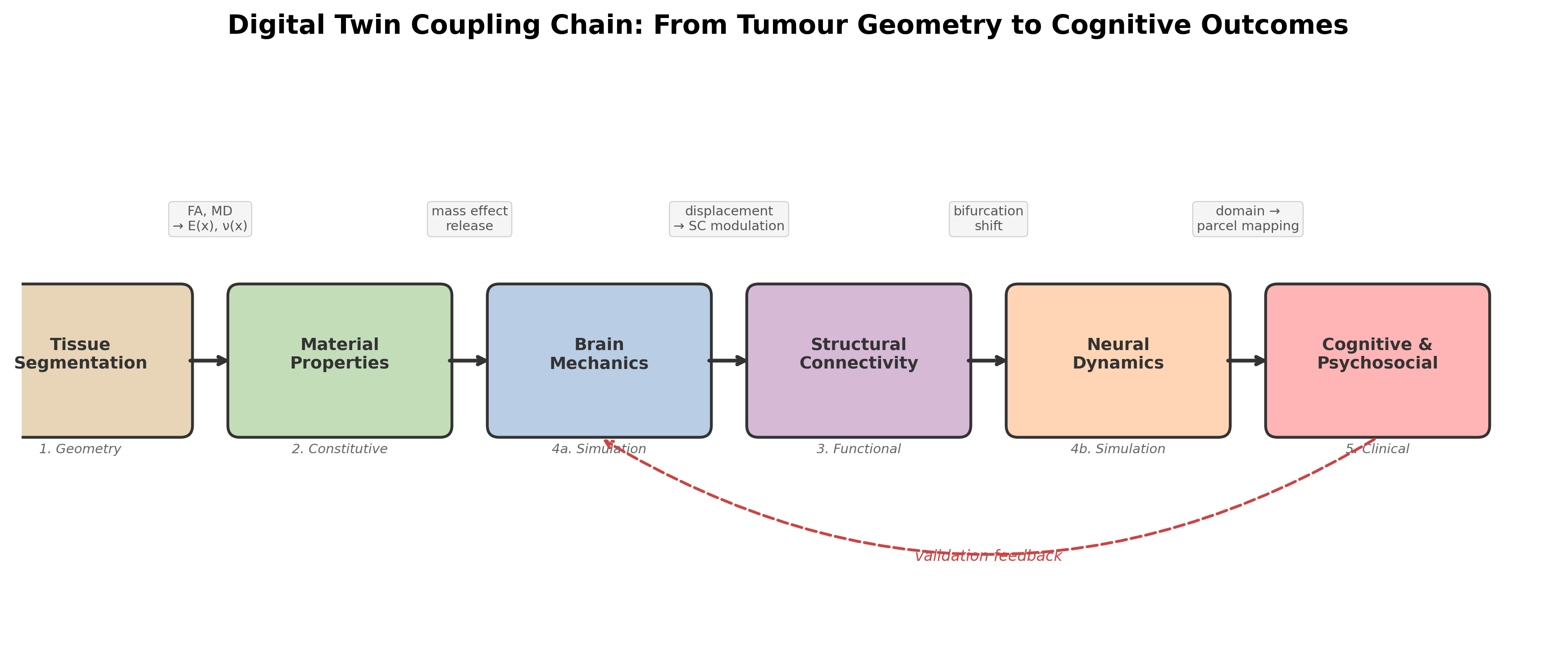 Coupling chain from tissue segmentation to cognitive outcome